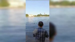 Эсталик учун бу видео