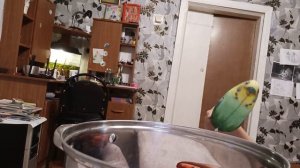 как правильно варить гуся