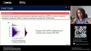 Цикл лекций NGM - Функциональная аннотация длинных некодирующих РНК