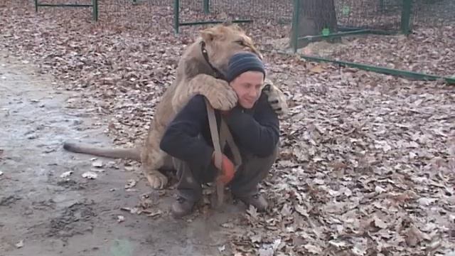 В Feldman ecopark поселился новый редкий зверь. смотреть онлайн