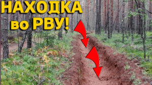 НАХОДКА в ПЕСЧАНОМ РВУ СРЕДИ ЛЕСА БЫЛА не ОЖИДАННОЙ! В Поисках Клада от Влада!