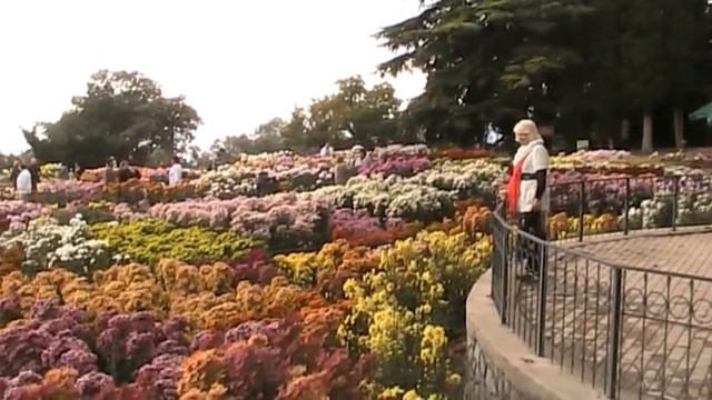 Никитский ботан сад 5.11.12 смотреть онлайн