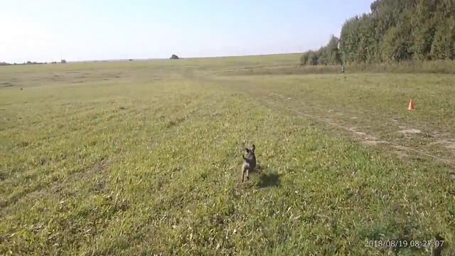 Курсинг на Русском Просторе 19 августа 2018 смотреть онлайн