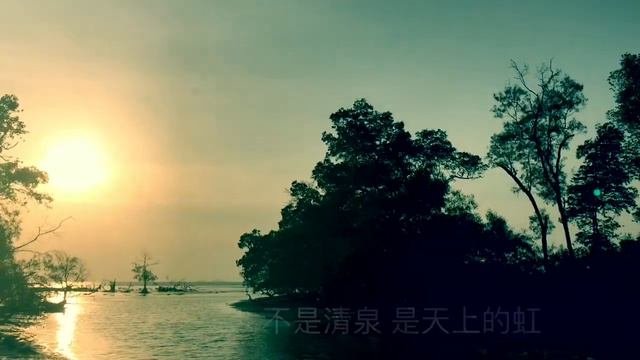徐志摩《再别康桥》 罗豪 演唱  《陪中学生上课～中三名篇》（悄悄的我走了，正如我悄悄的来：我挥一挥衣袖，不带走一片云彩。）
