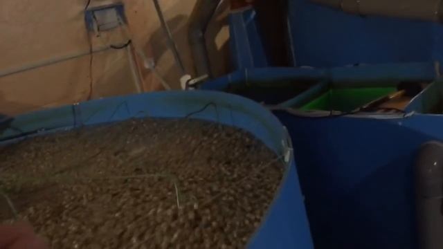 как запустить биофильтр в узв, двумя простыми способами смотреть онлайн