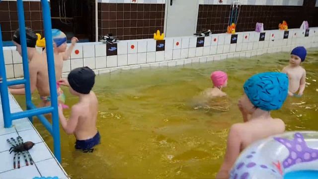 12 группа Лучики 77 сад Бассейн(7) смотреть онлайн