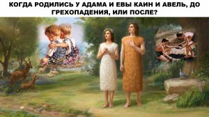 КОГДА РОДИЛИСЬ У АДАМА И ЕВЫ КАИН И АВЕЛЬ, ДО ГРЕХОПАДЕНИЯ, ИЛИ ПОСЛЕ?