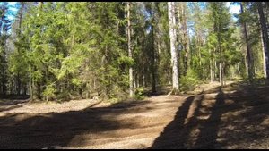 Эндуро / Кросс / Отработка торможения