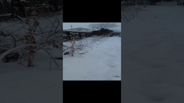 Люблю зиму в начале мая .#погодашалит #метель #вьюга