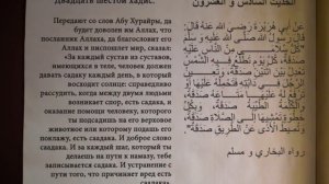 Двадцать шестой хадис из "Сорок хадисов" имама Ан-Науауи