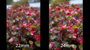 Canon EF-M 22mm f/2 vs EF-S 24mm f/2.8