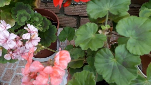 #дача #дизайн /Украшаем вход в загородный дом. Стиль Русский национальный . Часть ll смотреть онлайн