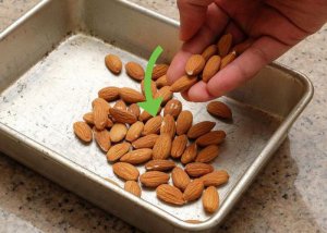 Попробуйте прорастить орешки МИНДАЛЯ дома    #GARDEN  #FARM