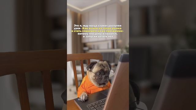 Урок, который увеличит твои продажи без запусков. Читай описание смотреть онлайн