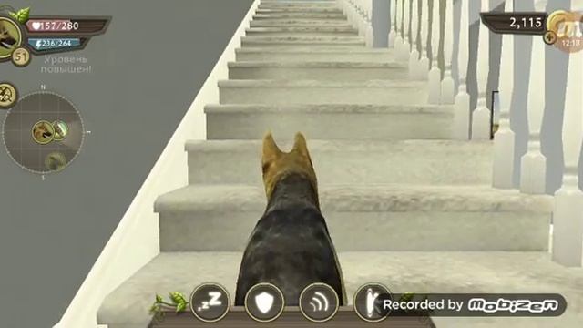 Dog sim играю в первый раз? смотреть онлайн