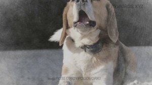 НА ВСЯКОГО МУДРЕЦА ДОВОЛЬНО ПРОСТОТЫ: смысл и значение