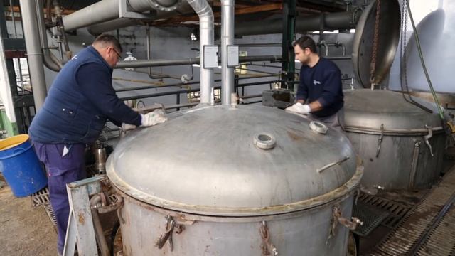 Schinus Molle from plant to essential oil version anglais смотреть онлайн