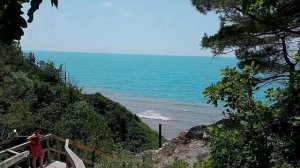 Сосновый берег +. Кемпинг в Архипо-Осиповке. Краснодарский край.