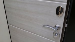 Входная дверь Вектор цвет Лиственница беленая