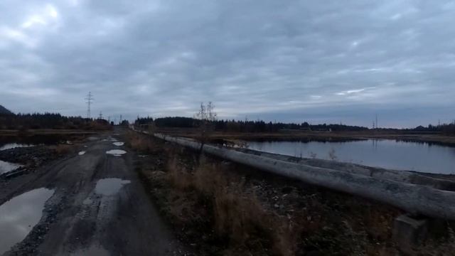 Охота на УТКУ на озере 2021. Удачный выстрел более 70 метров. Утки мало, но кое что добыть удалось. смотреть онлайн