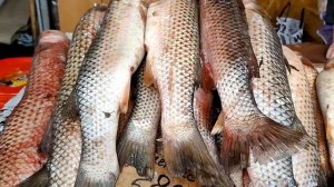 Бердянск рынок цены 18 04 2023 рыба овощи и др