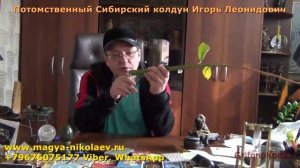 Как сделать порчу на цветок и забрать удачу.