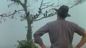 Животные - не люди, с ними можно договориться(из к/ф Укрощение строптивого)