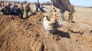 В Кировском районе нашли и подняли боевой советский самолёт времен ВОВ. Как это было.