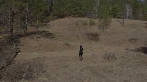 кратко о Чемале