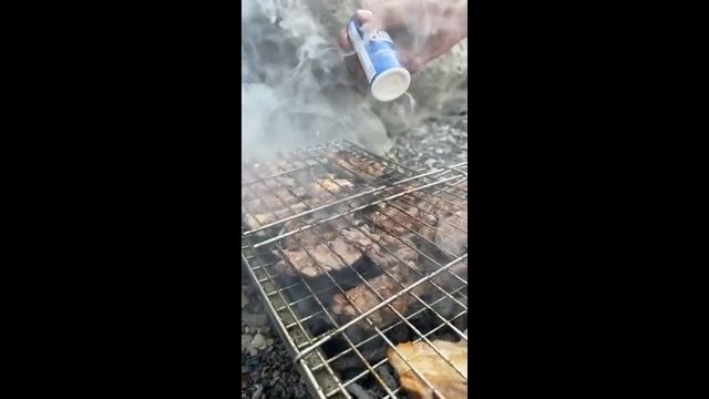 Группа Клуба 7 Вершин «Ванские кошки» отдыхает  на озере Ван