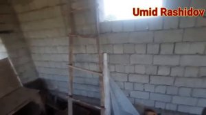 Molxona poliga g'isht terish 20 metrli molxonani sharoitlari va xarajatlari