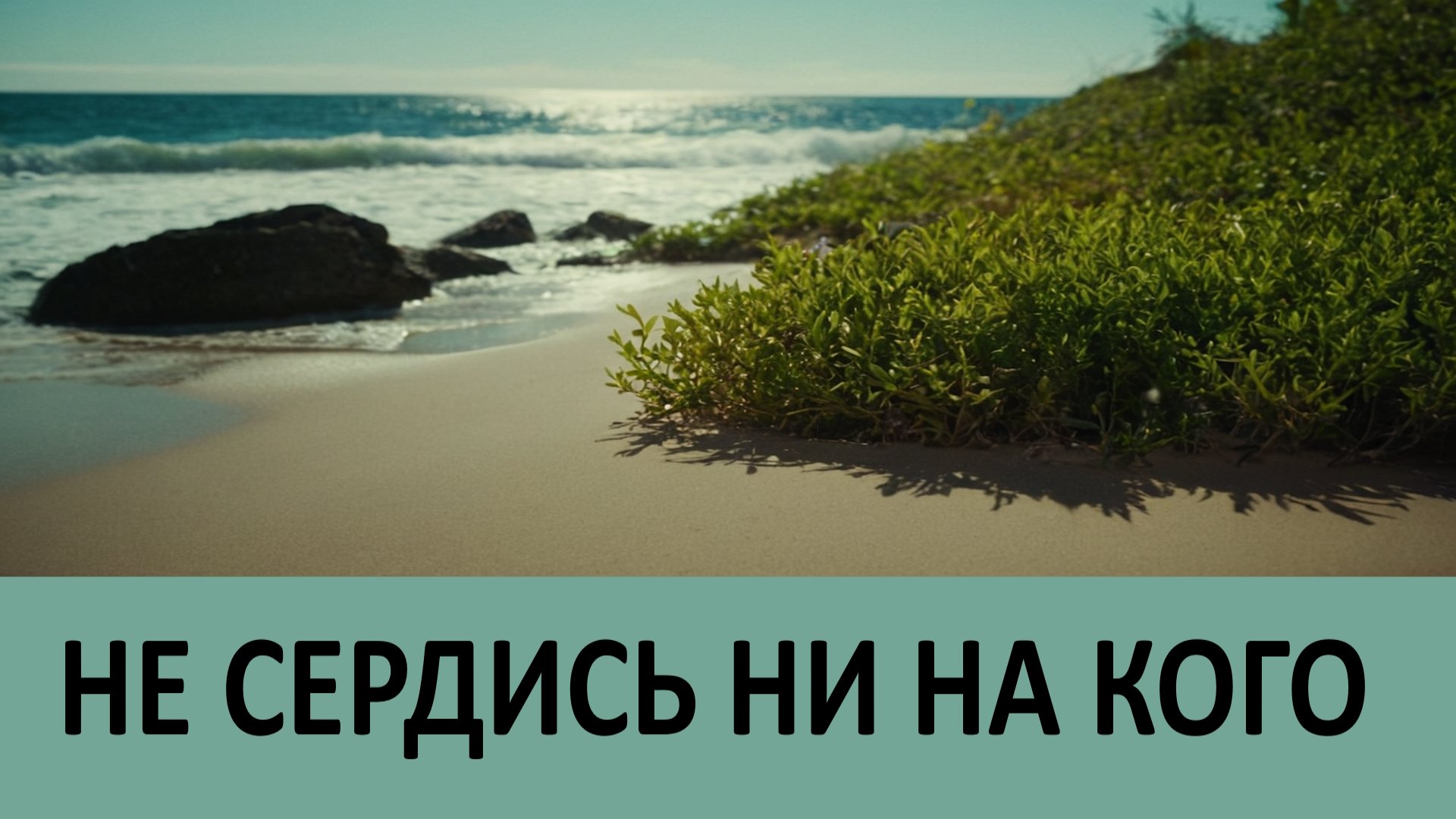 Lk mysbertips. Lk mysbertips