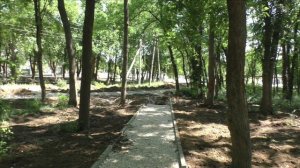 Керчь, реконструкция Казённого сада 30.05.24