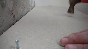 Лестница из ламината за 2.5 минуты!!!