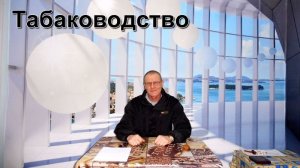 Новые сорта Табака на следующий сезон - от Табакевича.