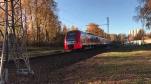 Поезд ласточка Кострома Москва Красноперекопский район 11.10.2021г