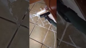 Philips power cyclone 7