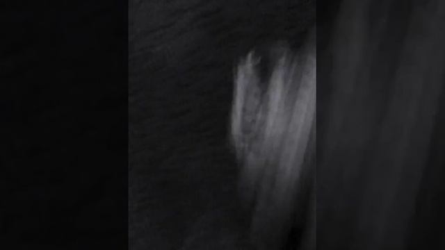 ДУРКОВАНИЕ. ЛУЧШИЙ АНТИСТРЕСС В МИРЕ. КАК СДЕЛАТЬ ДУРКУ СВОИМИ РУКАМИ ИЗ РЕЗИНОК ДЛЯ ПЛЕТЕНИЯ!!! смотреть онлайн