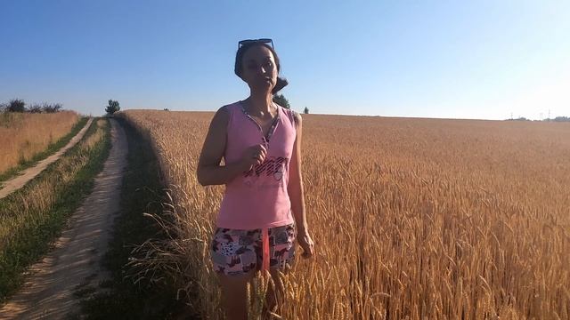 Хлеб - всему голова? Или уже нет? смотреть онлайн