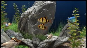 Screensaver Dream Aquarium - Virtual Aquarium HD