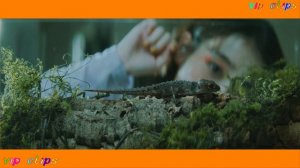 666@DEVIL (Deep Sound Style Rework) [MV] 2021