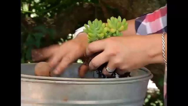 Containers For Garden Rooms смотреть онлайн