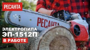 Электропила Ресанта ЭП-1512П в работе