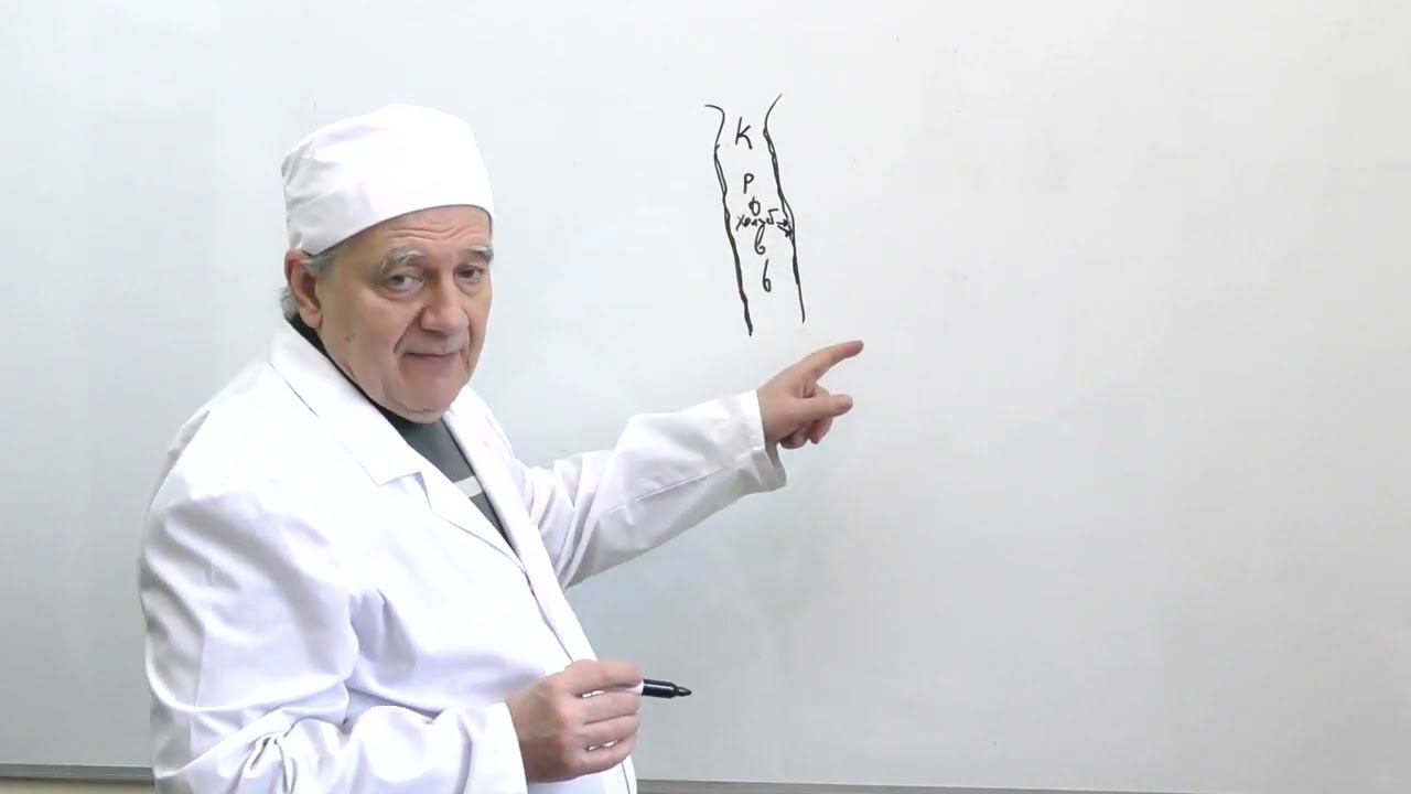 Профилактика склероза (Алименко А.Н. смотреть онлайн