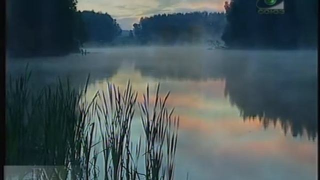 О прощении обид.AVI смотреть онлайн