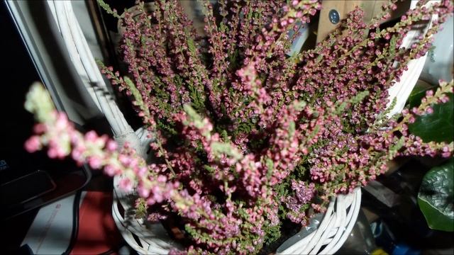 Samsung ES95 - Sample Pictures (Wide) смотреть онлайн