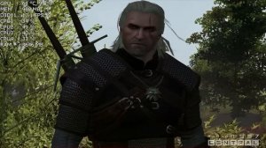 The Witcher 3: Wild Hunt (2015) Gameplay | Core 2 Quad Q9300 | AMD Radeon R7 250 | 4GB RAM