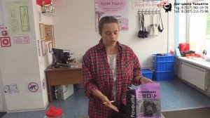 Инструктор Дружкова Юлия. Кормление собак сухим кормом. Тольятти, 29 августа 2021.