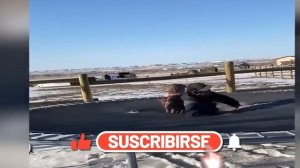 Best coub, приколы 2022, extra coub, coub mix, угар, memes-highlight