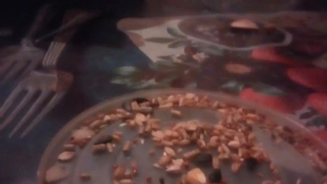 Чем питается джунгарик смотреть онлайн